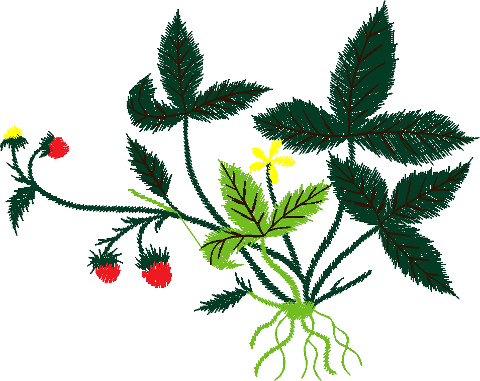 Floral 110 (5)