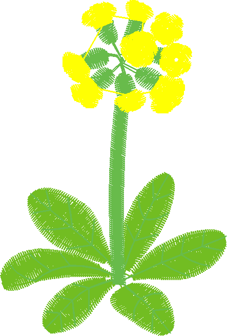 Floral 134  (16)
