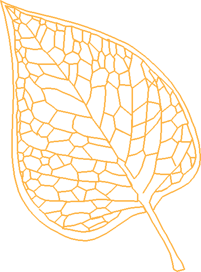Floral 143  (13)