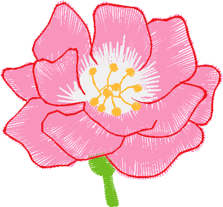 Floral 159 (100)