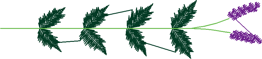 Floral 159 (4)