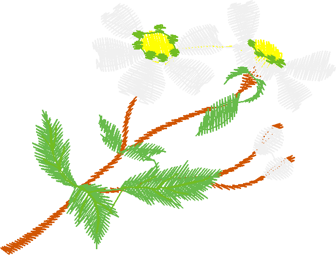 Floral 167 (31)