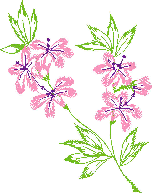 Floral 167 (40)