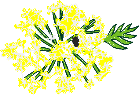 Floral 168 (41)