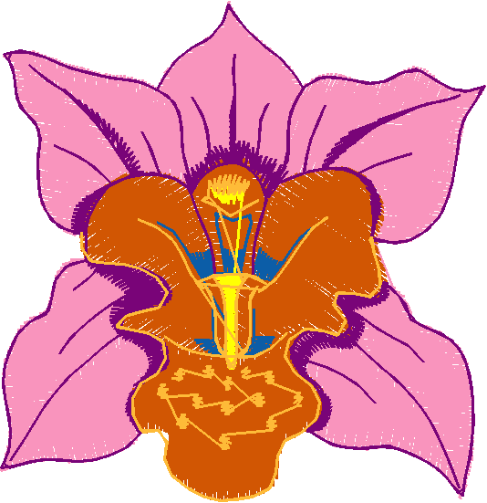 Floral 180 (74)