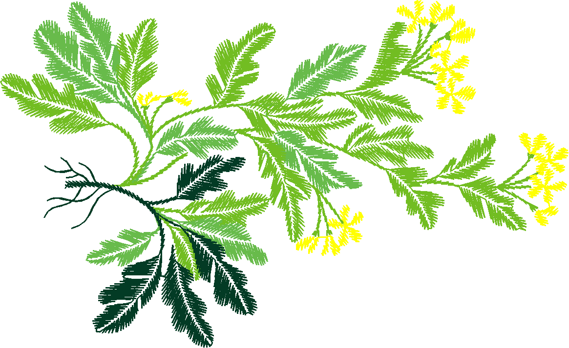 Floral 181 (81)