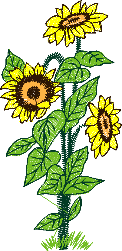 Floral 184 (14)