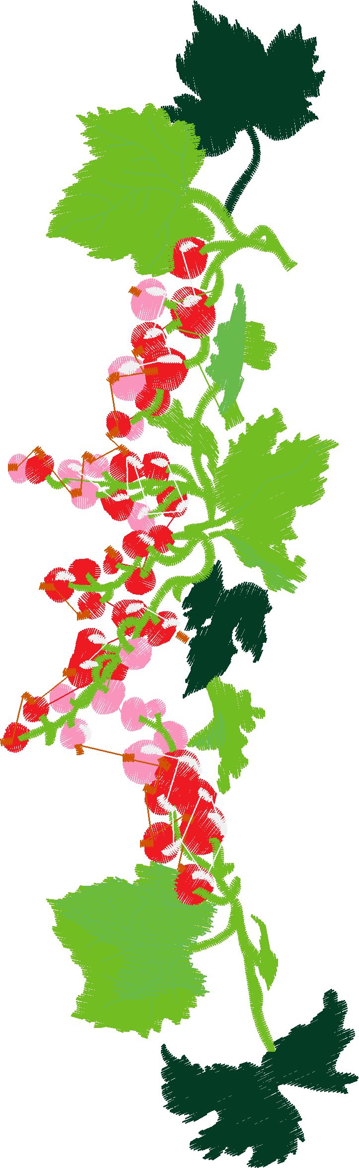 Floral 209  (27)