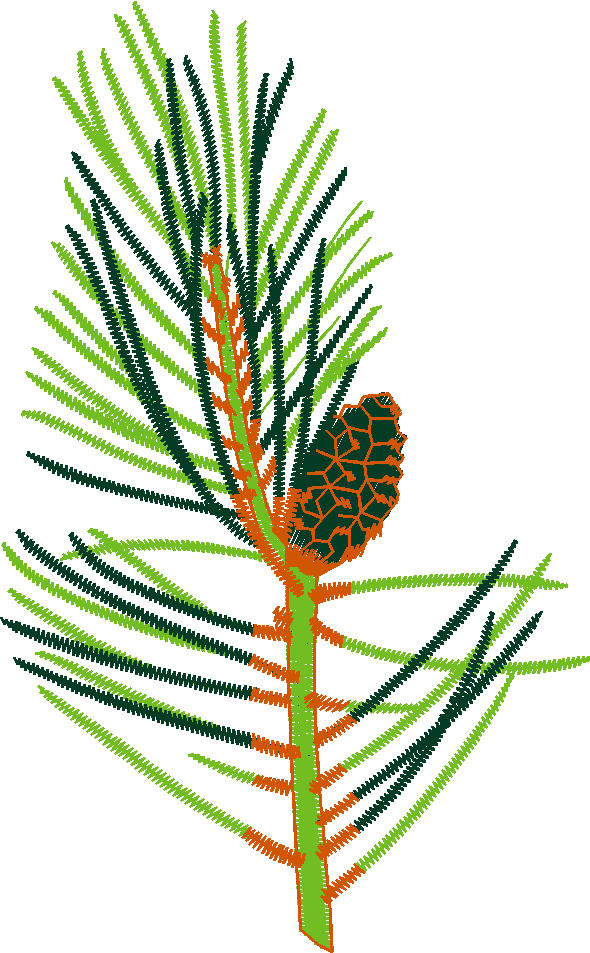 Floral 21  (4)