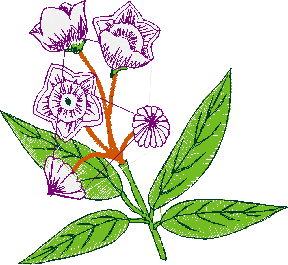 Floral 217  (2)