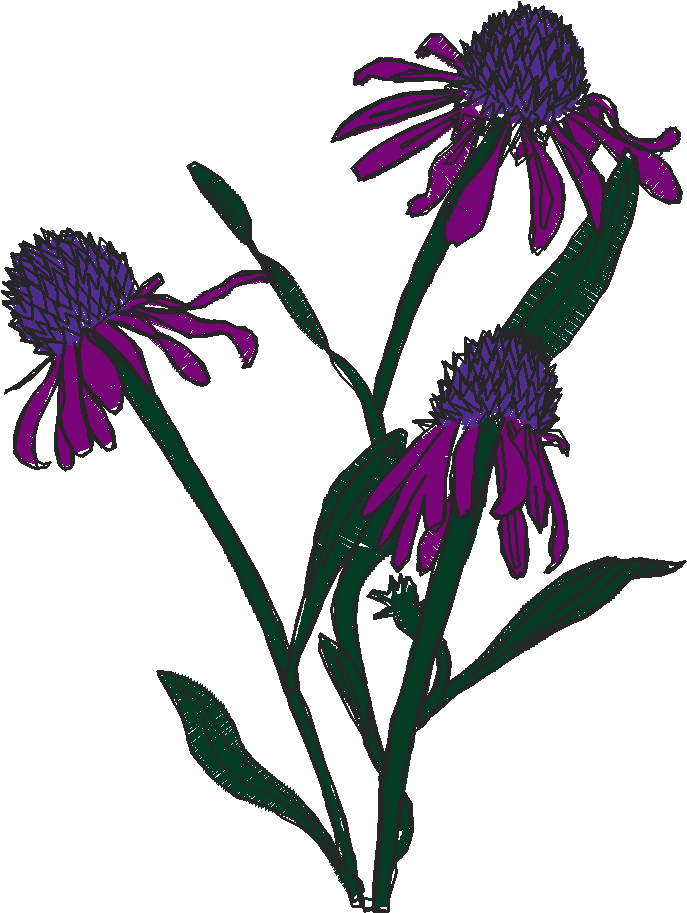 Floral 225  (16)