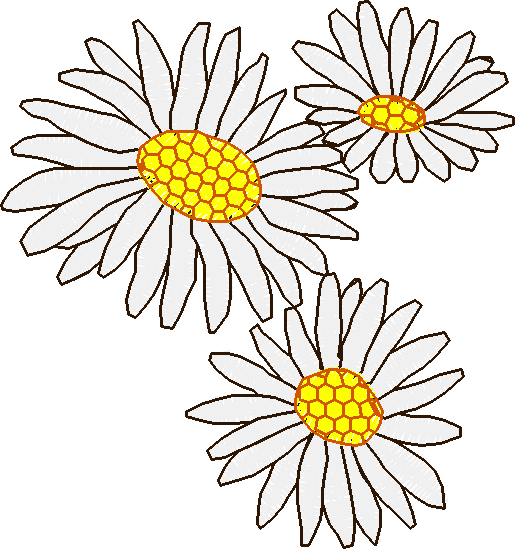 Floral 226  (3)