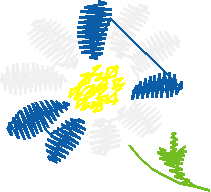 Floral 33  (7)