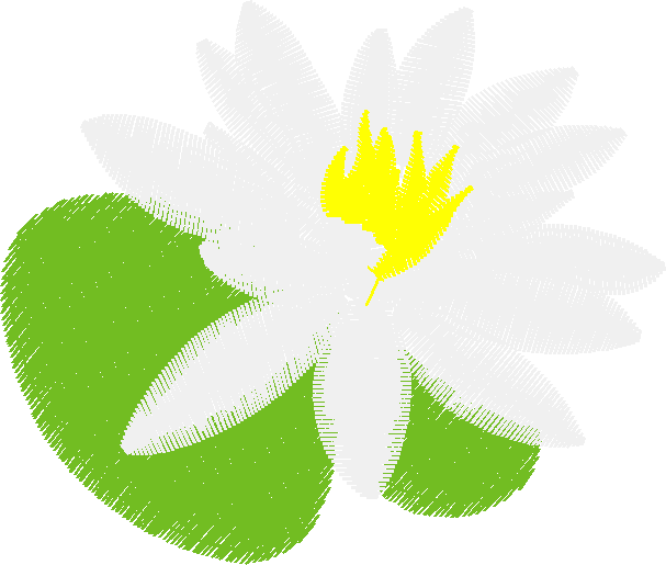 Floral 44  (21)
