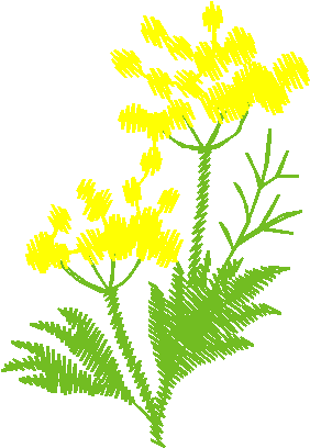 Floral 47  (17)