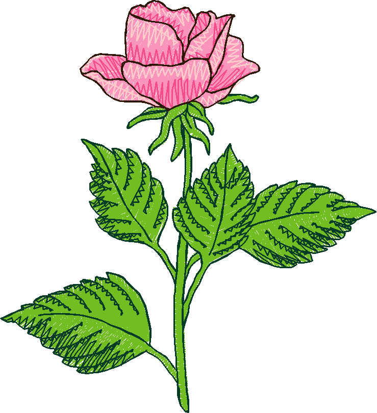 Floral 5  (15)