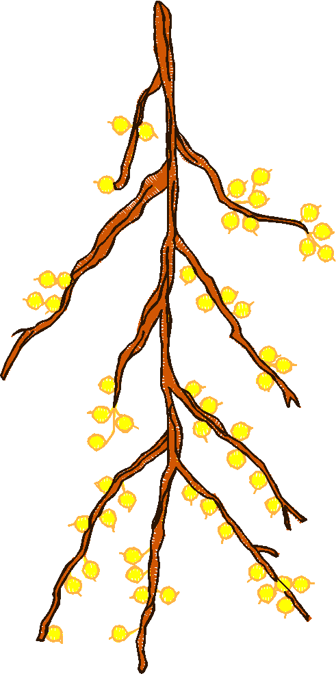 Floral 5  (3)