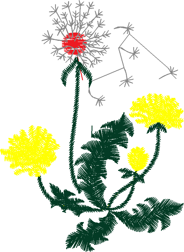 Floral 51  (11)
