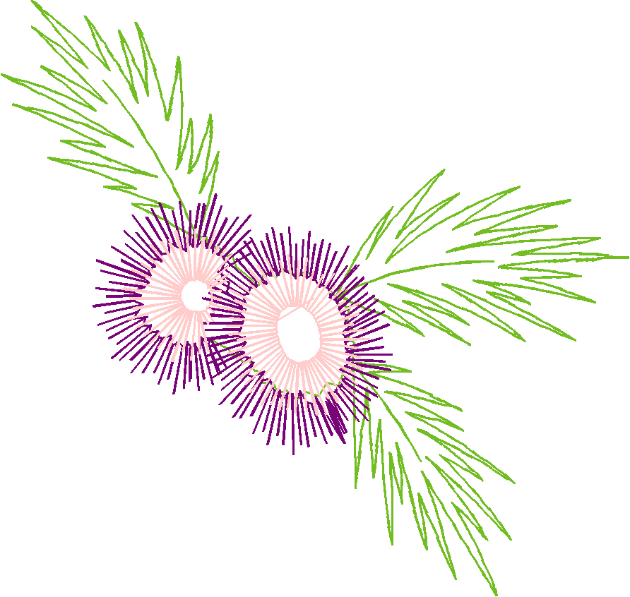 Floral 51  (9)