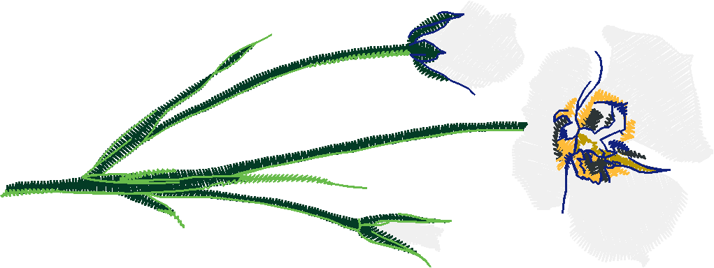 Floral 54  (31)