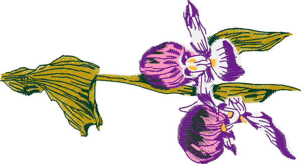 Floral 54  (35)