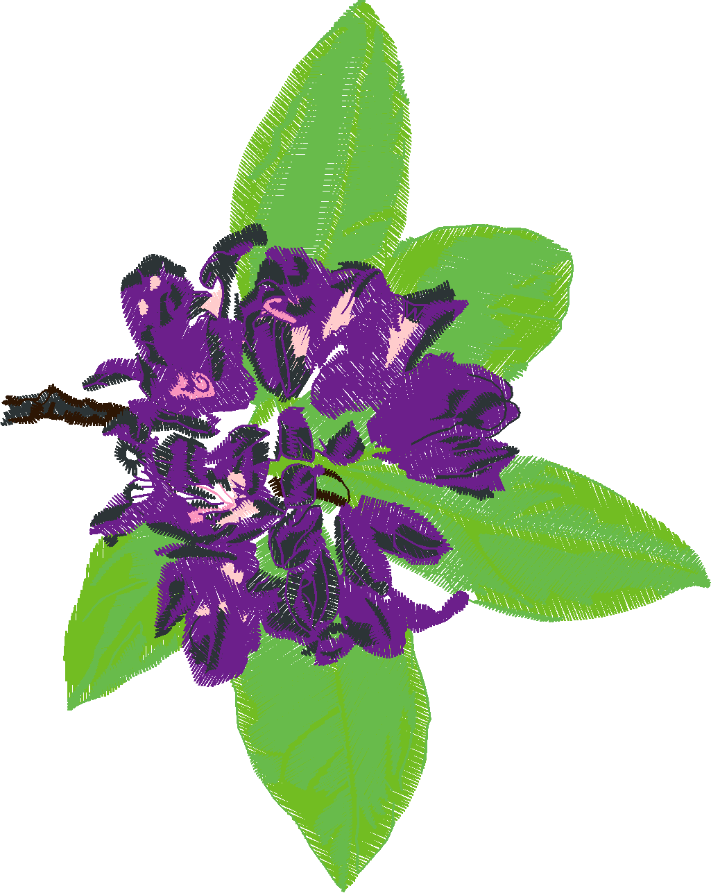 Floral 54  (38)