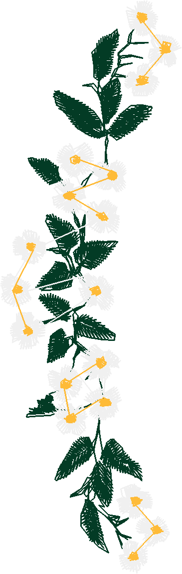 Floral 54  (58)
