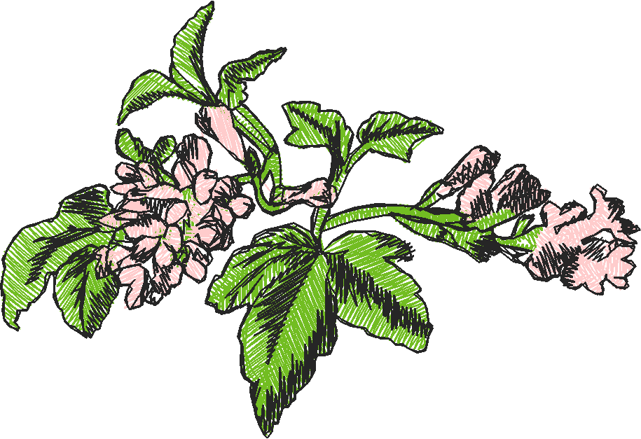 Floral 63  (15)
