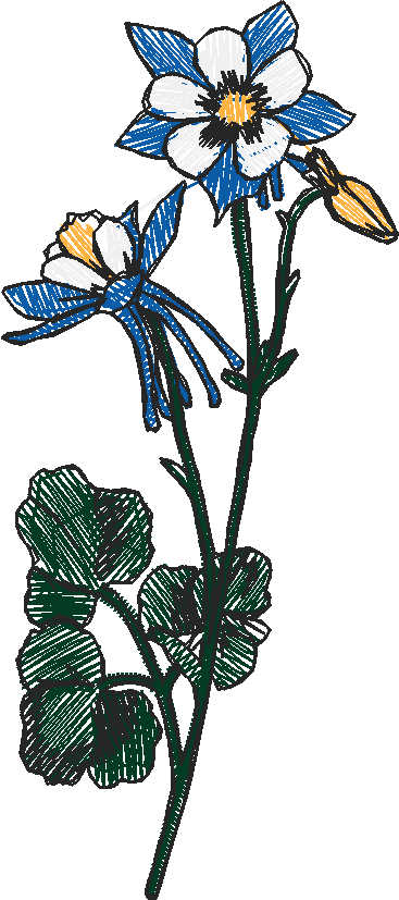 Floral 66  (19)