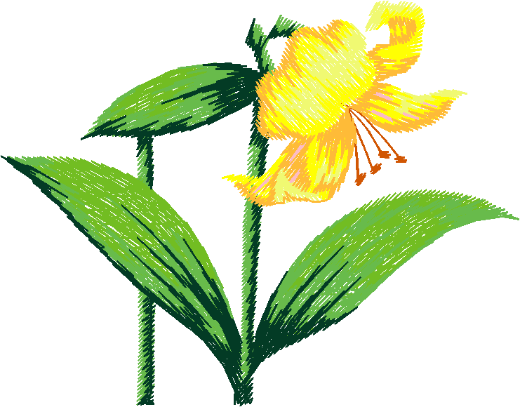 Floral 75  (3)