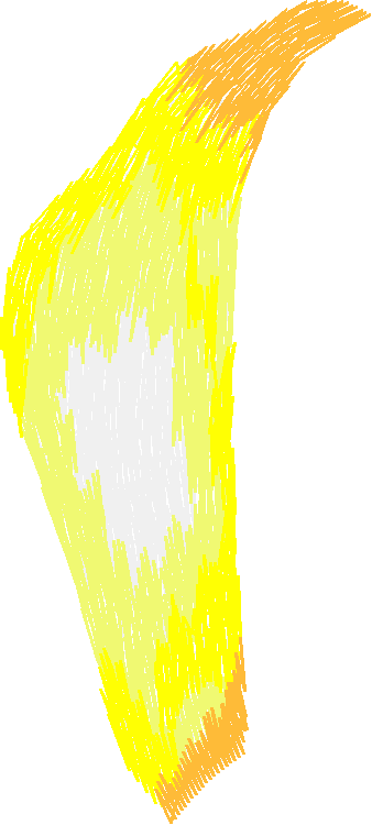 Floral 75  (7)