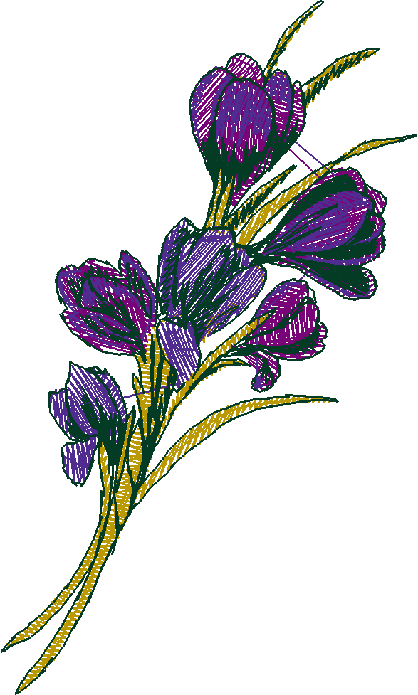 Floral 8  (6)