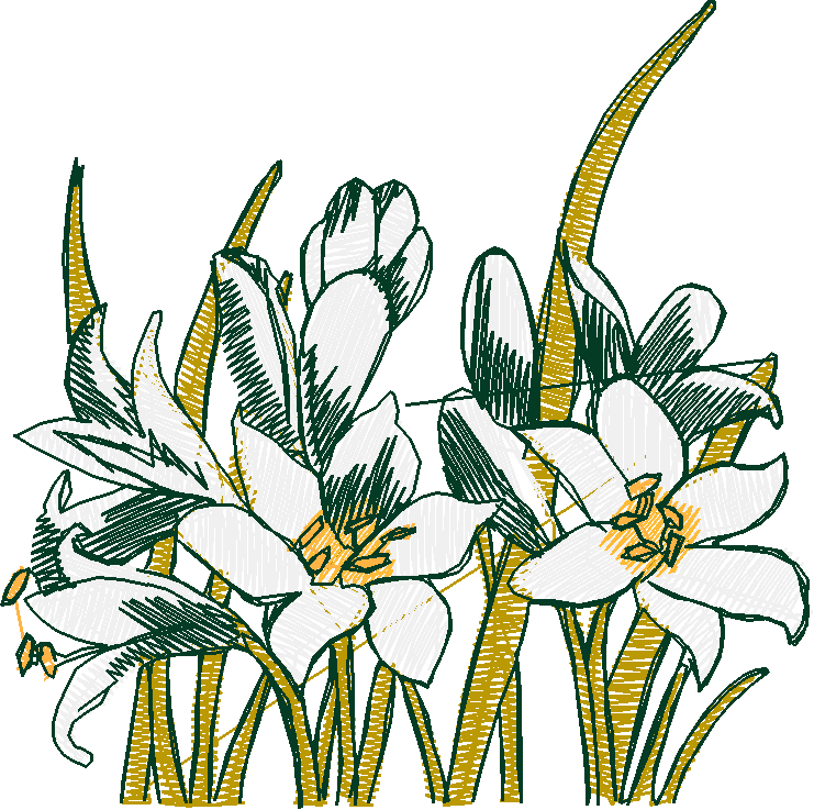 Floral 8  (7)