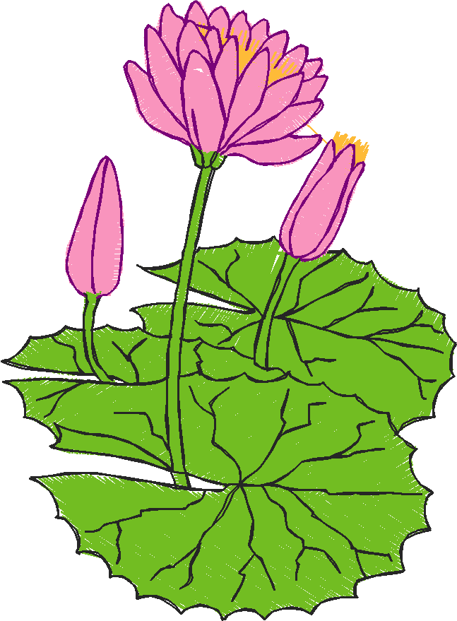Floral 89  (3)