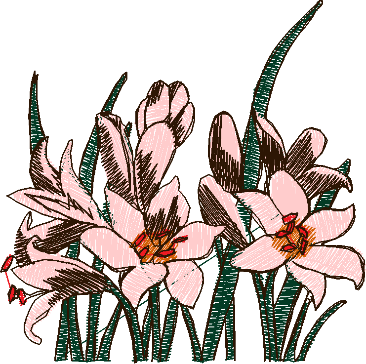 Floral 89  (8)