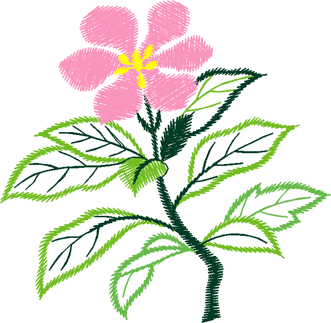 Floral 90  (14)