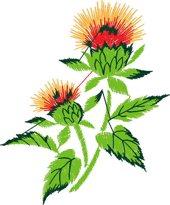 Floral 90  (28)