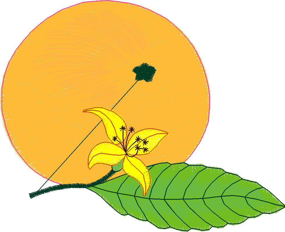 Fruit 1  (20)