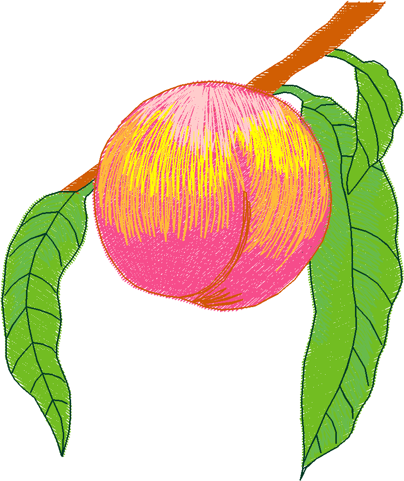 Fruit 1  (6)