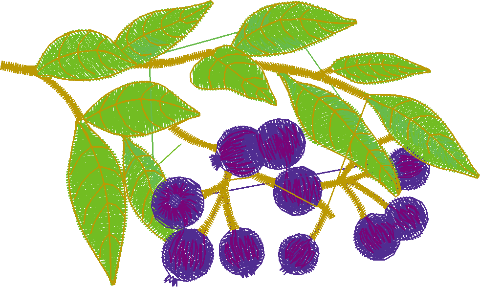 Fruit 1  (7)