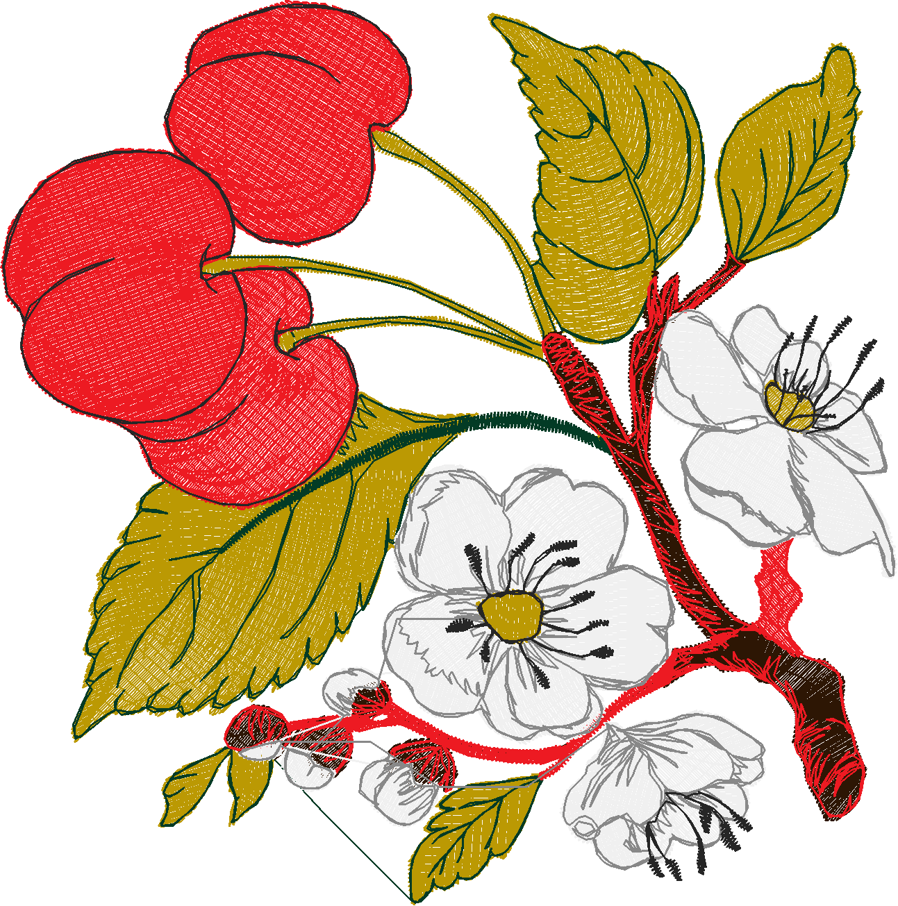 Fruit 8  (1)