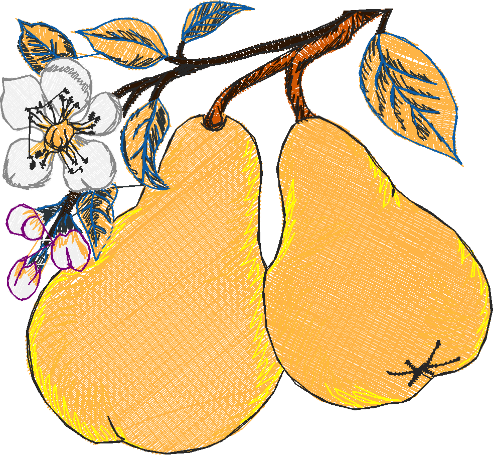 Fruit 8  (12)