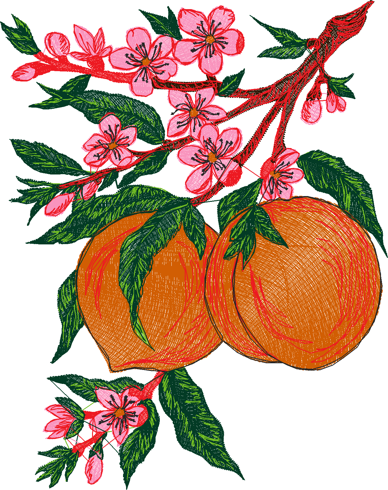 Fruit 8  (2)