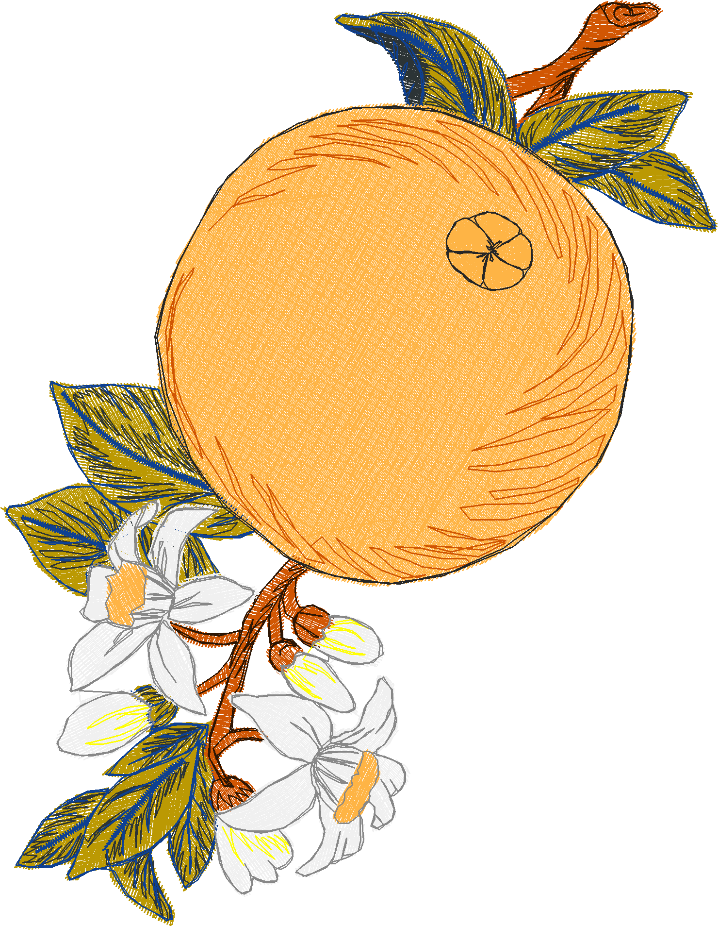 Fruit 8  (34)