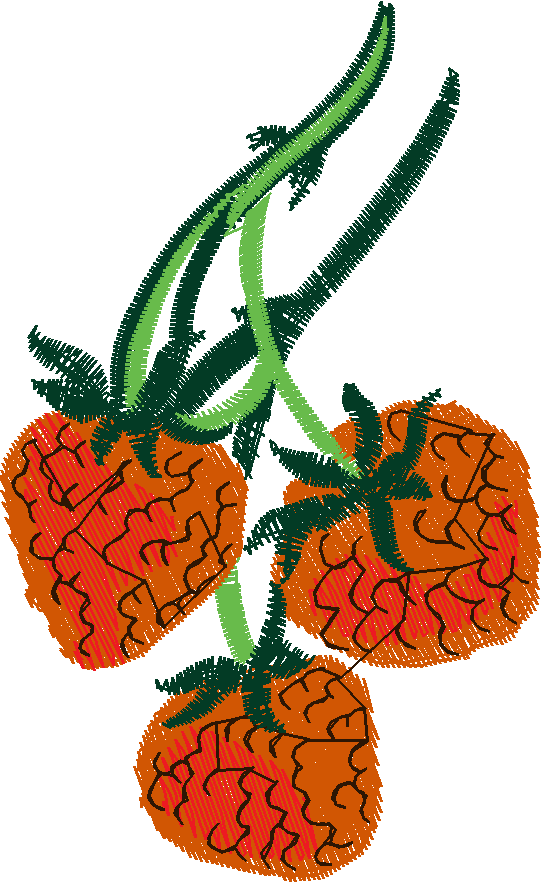 Fruit & Vegetables 20 (6)