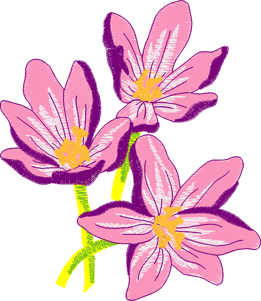 Garden 11  (16)