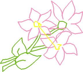 Garden 15  (24)