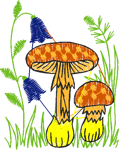 Garden 5  (13)