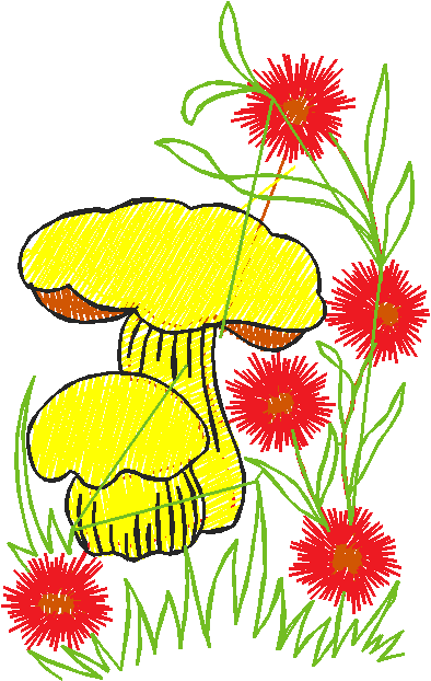 Garden 5  (15)
