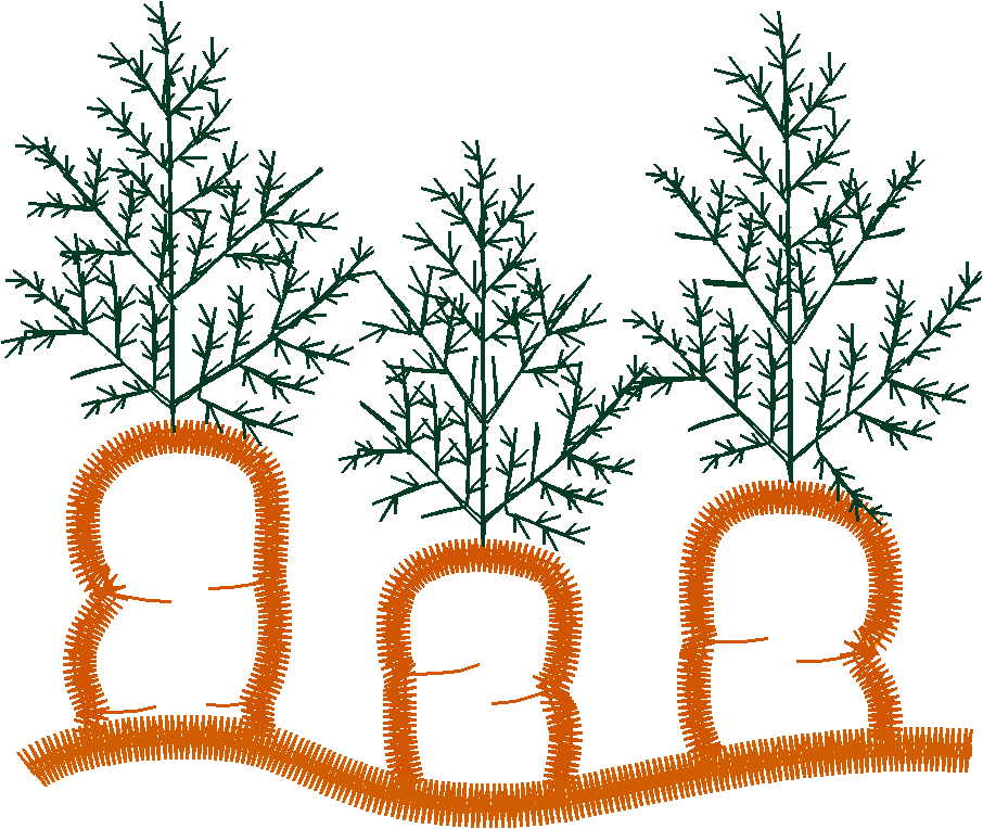 Garden 8  (11)